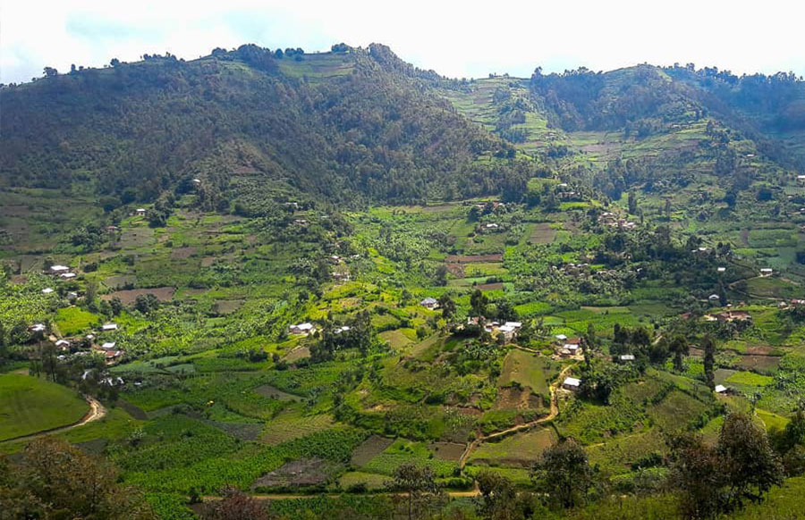 Bafumbira-settlement--in-western-Ugaanda